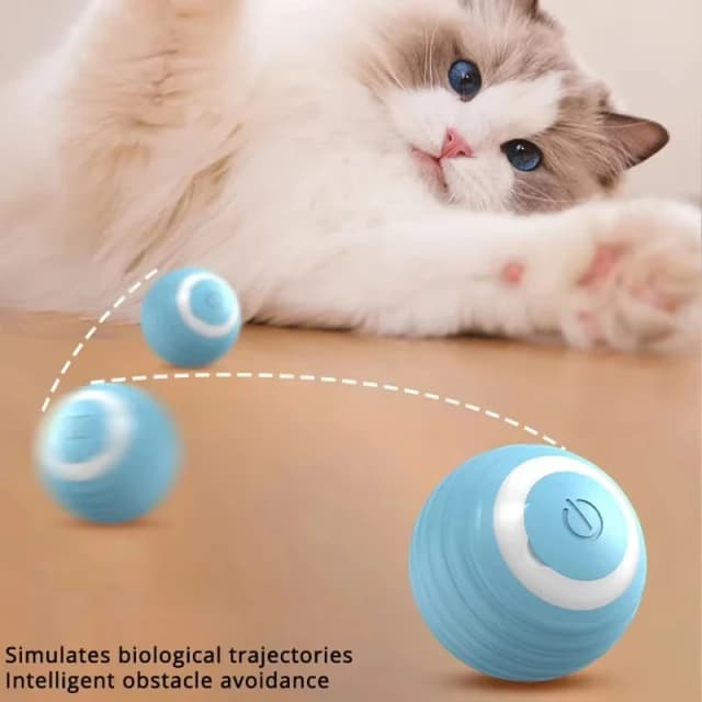 Gato interativo bola treinamento auto-movimento gatinho elétrico gato bola brinquedos eletrônico rolamento automático bola mágica brinquedos para gato